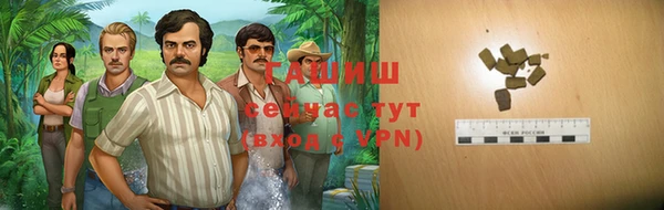 прущие грибы Вяземский