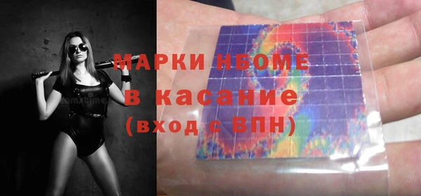 прущие грибы Вяземский