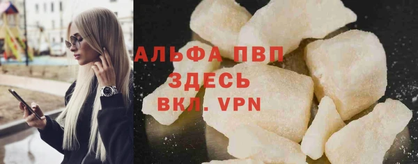 прущие грибы Вяземский