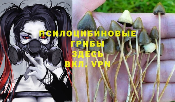гидропоника Вязники