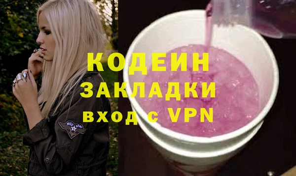 прущие грибы Вяземский