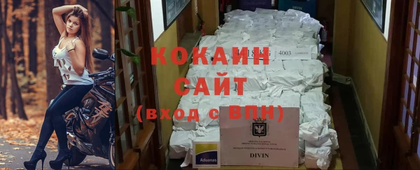 прущие грибы Вяземский