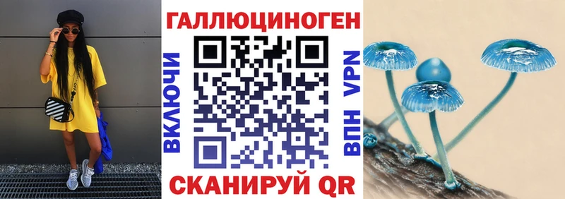 где продают   маркетплейс Telegram  Псилоцибиновые грибы Psilocybe  Архангельск 